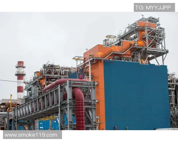 亚马尔地区自然资源开发与生态环境保护的平衡探索及挑战