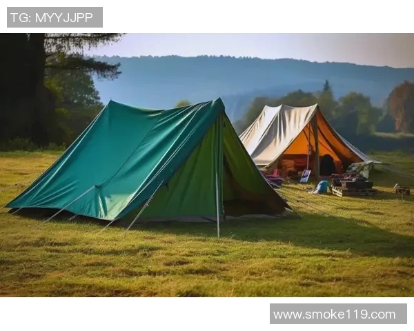 帐篷：探索野外露营的理想选择与设计创新之美
