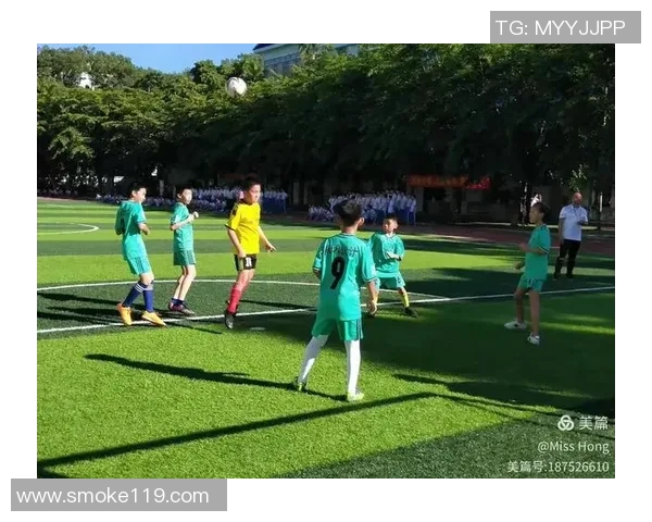 傲娇学霸与足球明星的校园爱情故事如何在青春的赛场上交织与碰撞