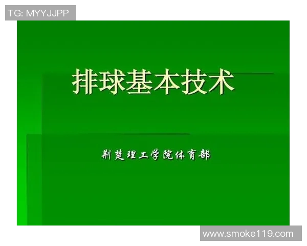 南京排球队技术分析与发展策略探讨聚焦排球运动的未来趋势与挑战